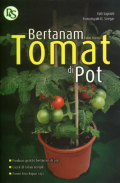 Bertanam tomat di pot :  edisi revisi