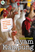 Beternak Ayam Kampung