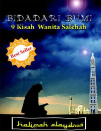 Image of bidadari bumi :  9 kisah wanita salelah