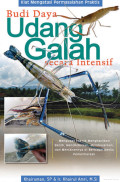 Budi Daya Udang Galah Secara Intensif