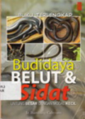 Budidaya belut dan sigat :  untung besar dengan modal kecil