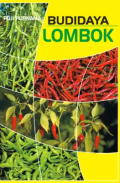 Budidaya Lombok