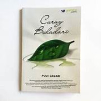 Image of Curug Bidadari