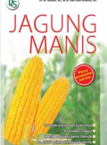 Jagung manis