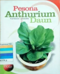 Pesona anthurium danun