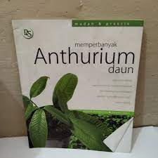 Sampul Memperbanyak anthurium daun / Sugiono Budhiprawira