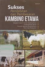 Cover Sukses Pembibitan dan Pembesaran Kambing Etawa / Sahda H.