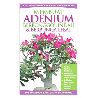 Sampul Membuat adenium berbonggol indah & berbunga lebat / Ino tomasouw