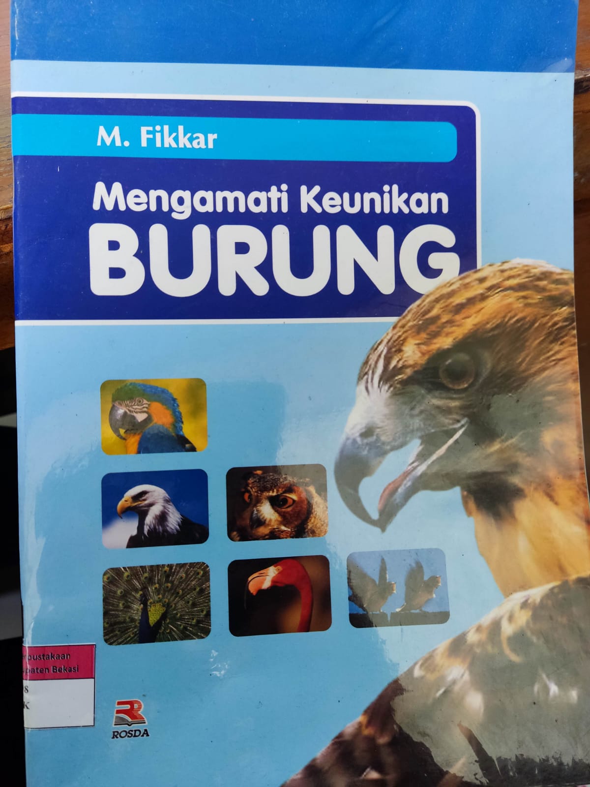Sampul Mengamati keunikan burung / M Fikar
