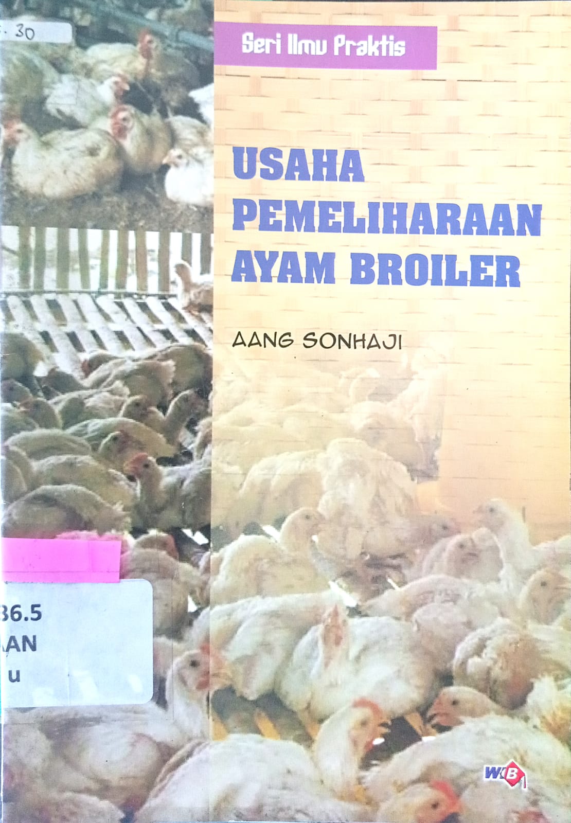 Sampul Usaha pemeliharaan ayam broiler / Aang Sonhaji