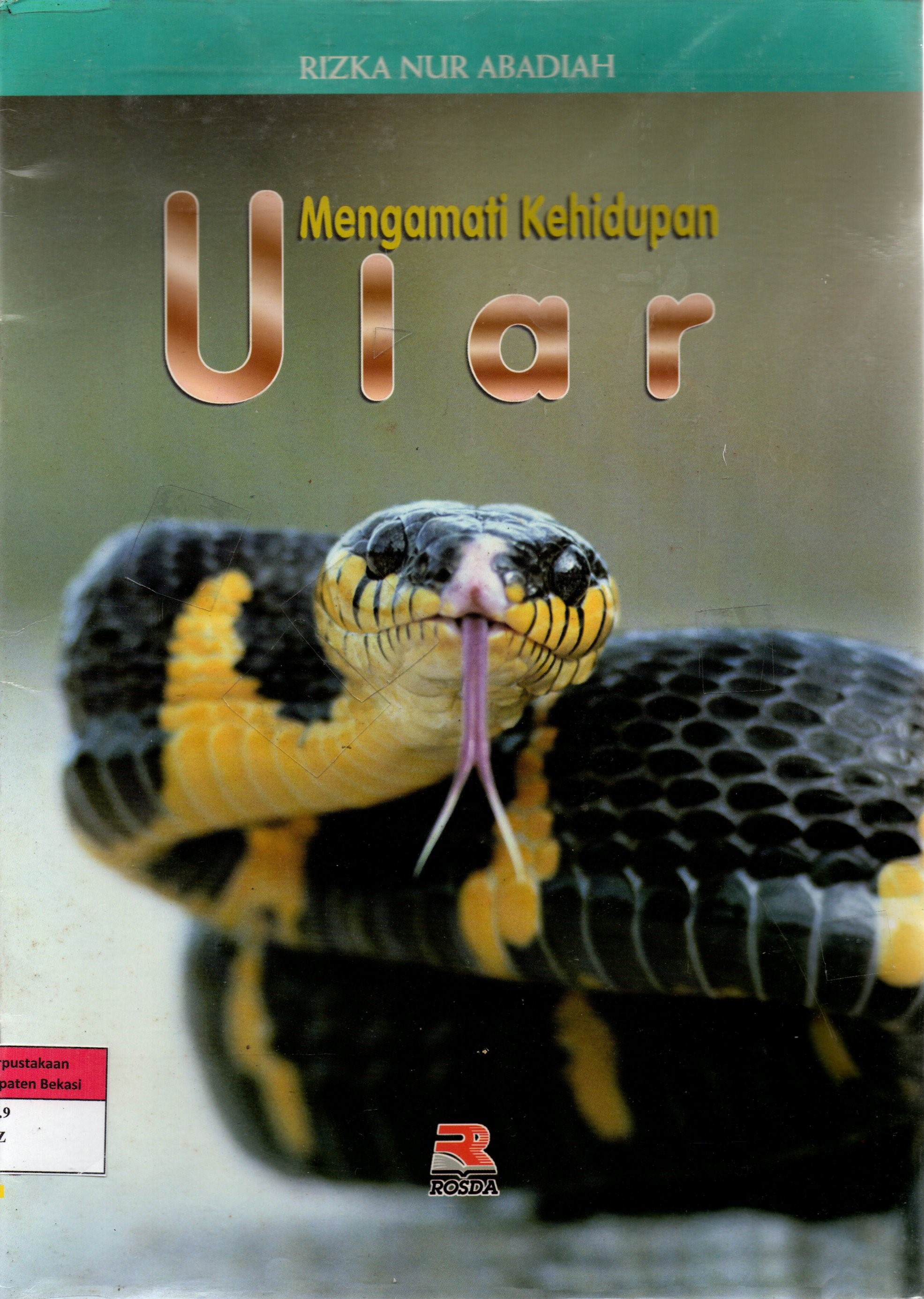 Sampul Mengamati Kehidupan Ular / Rizka Nur Abadiah; editor Wuly Anisah, Tony Kurnia