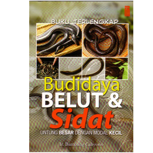 Sampul Budidaya belut dan sigat :  untung besar dengan modal kecil / Bambang Cahyono