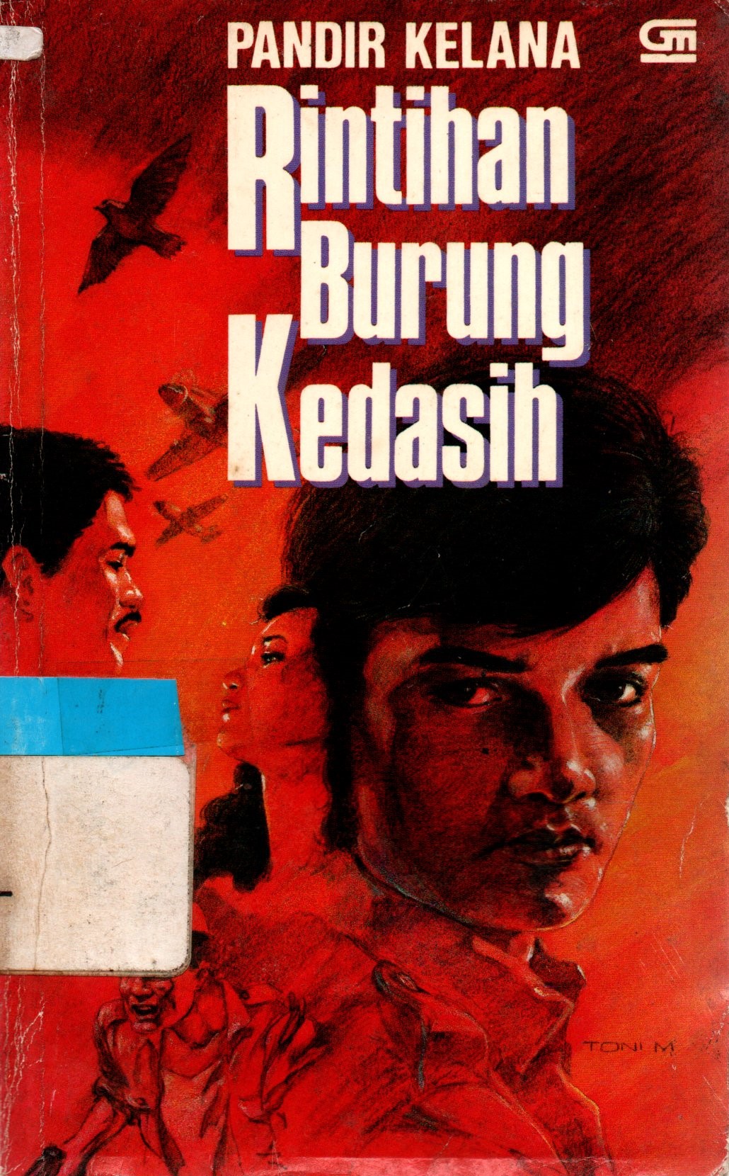 Sampul Rintihan Burung Kedasih / Pandir Kelana