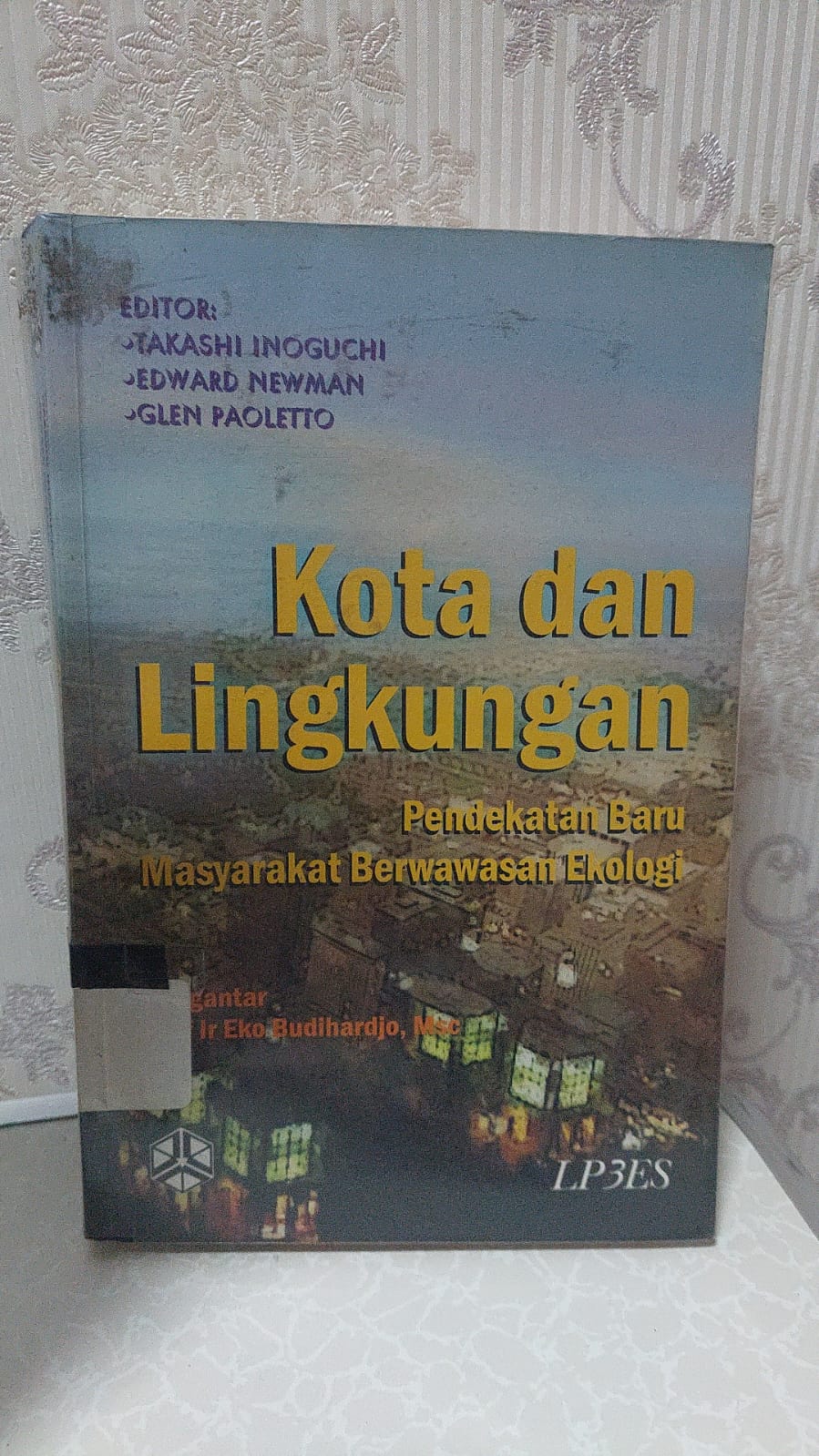 Sampul Kota dan Lingkungan :  Pendekatan baru terhadap masyarakat berwawasan ekologi / Takhasi Inoguchi, Edward Newman, Glen Paoletto (Editor)
