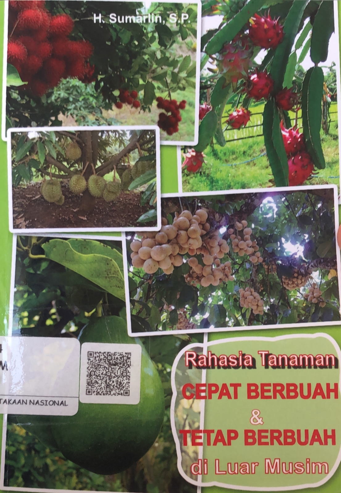 Sampul Rahasia Tanaman Cepat Berbuah dan Tetap Berbuah di Luar Muslim / Sumarlin