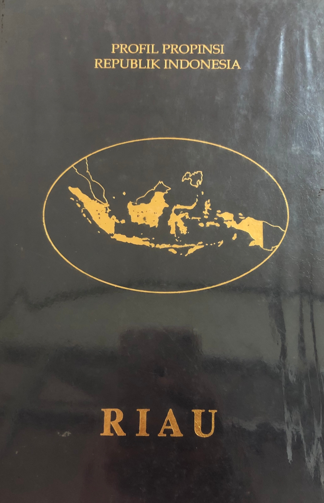 Sampul Profil Propinsi Republik Indonesia Riau / Drs.Soemargono