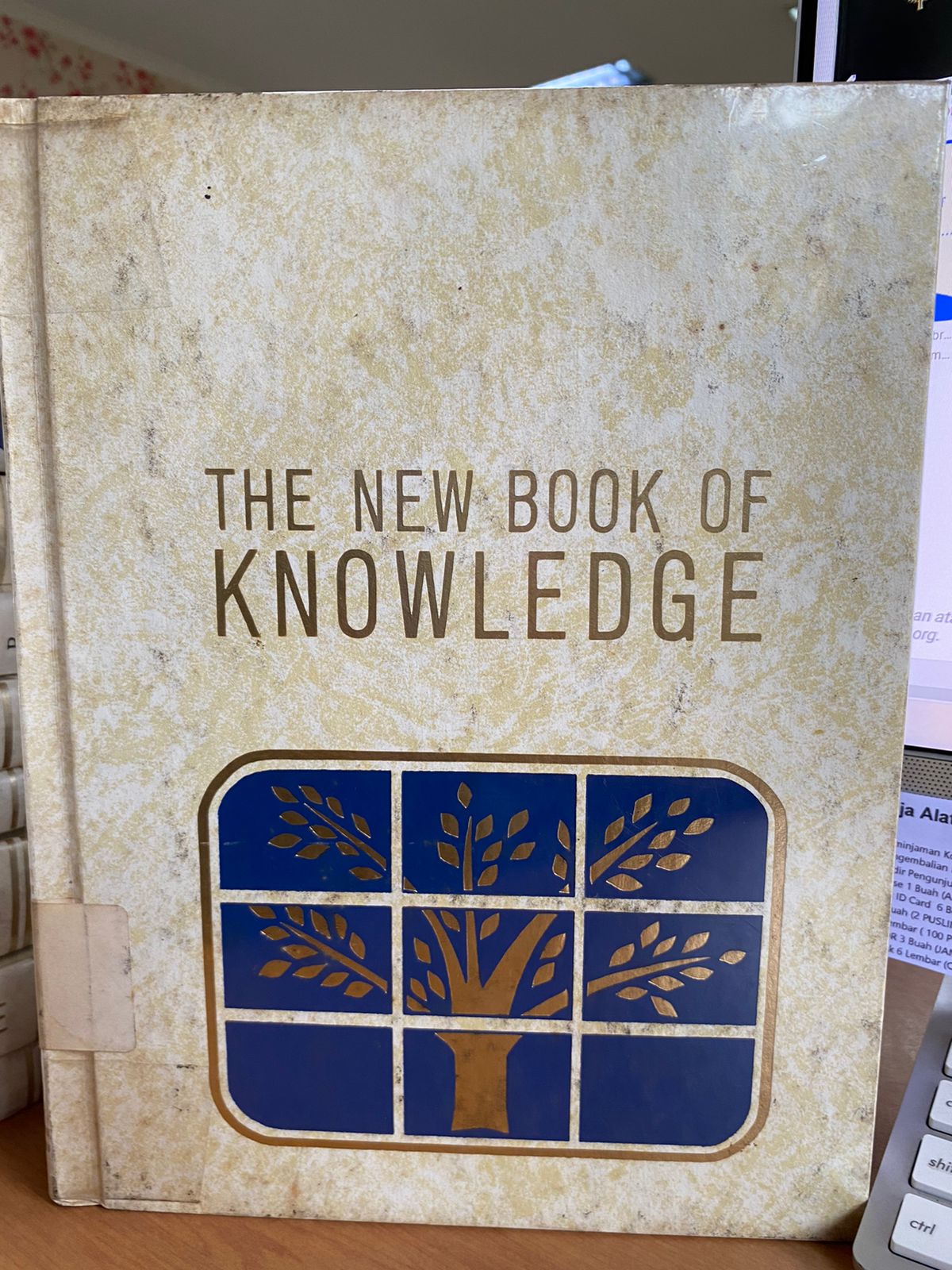 Sampul The New Book Of Knowledge 21 :  Knowledge In Depth / Robert P Gwinn
