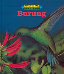 Cover Mengenal ilmu binatang (Burung) / Anita Ganeri