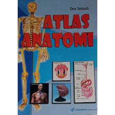 Sampul Atlas Anatomi / Setiasih