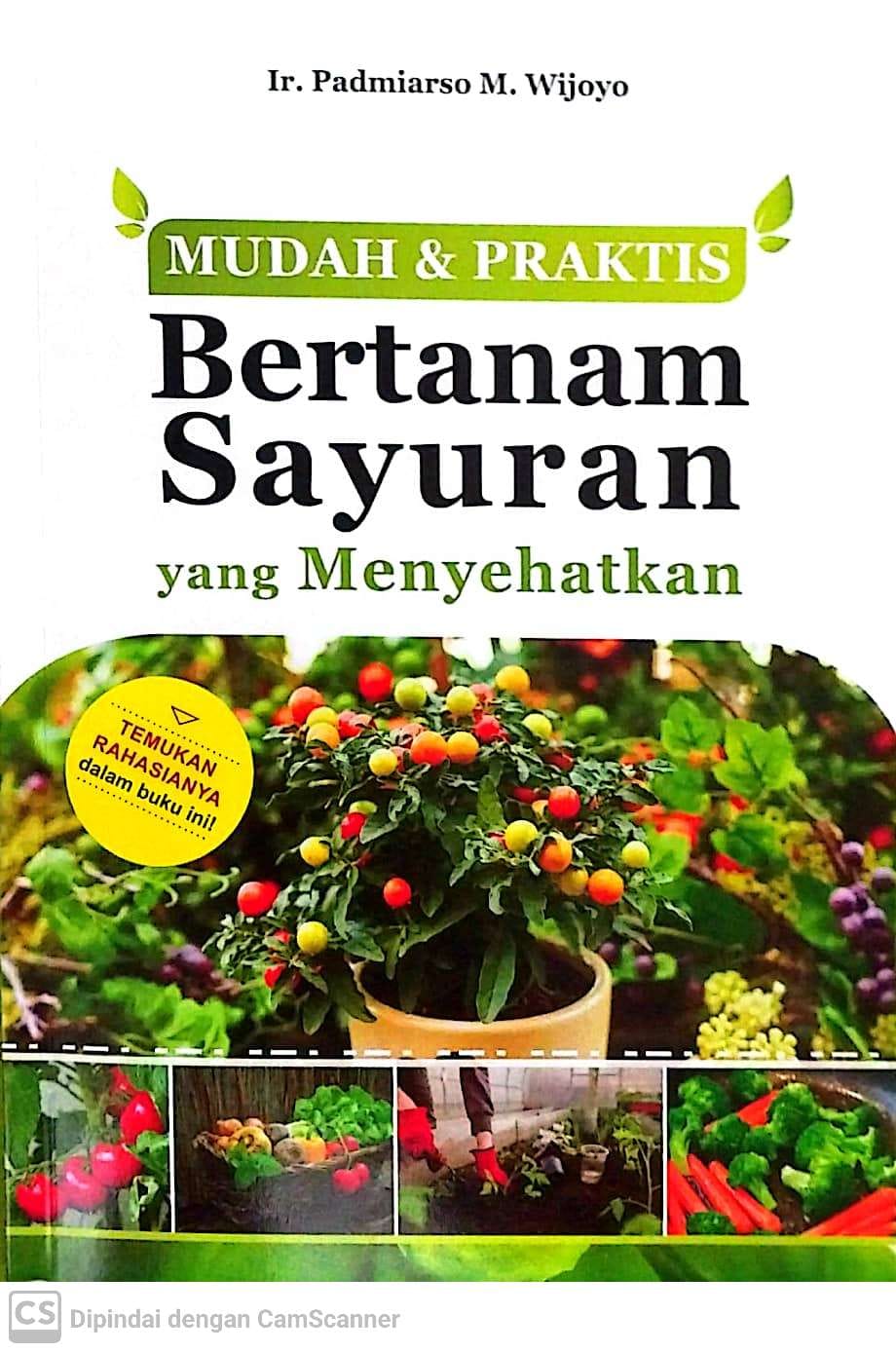 Cover Mudah dan praktis bertanam sayuran yang menyehatkan / Padmiarso M. Wijoyo
