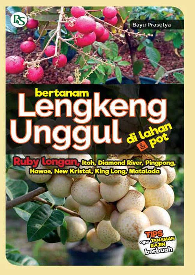 Sampul Bertanam Lengkeng Unggul Di Lahan Dan Pot / Bayu Prasetya