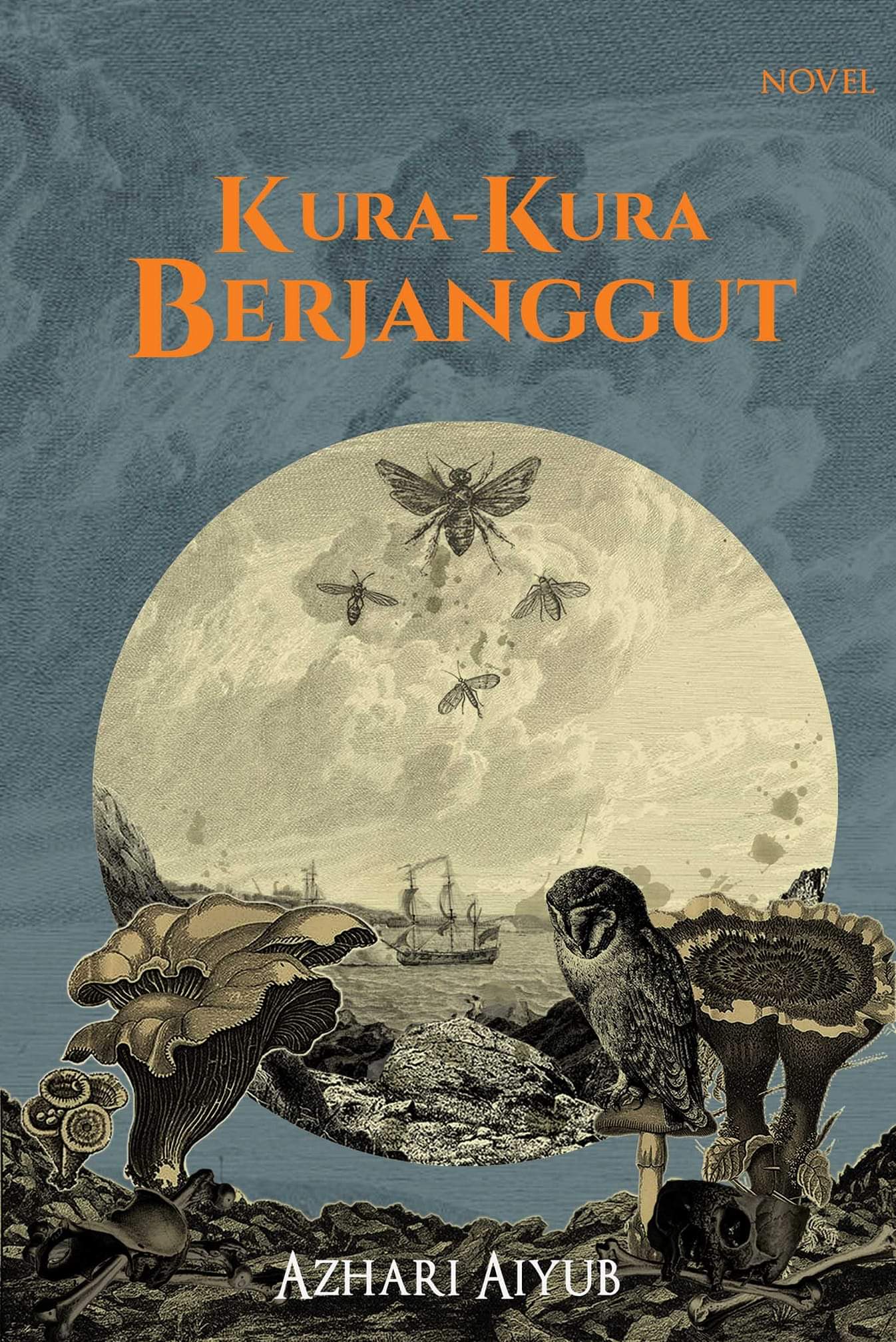 Sampul Kura-kura berjanggut / Azhari Aiyub