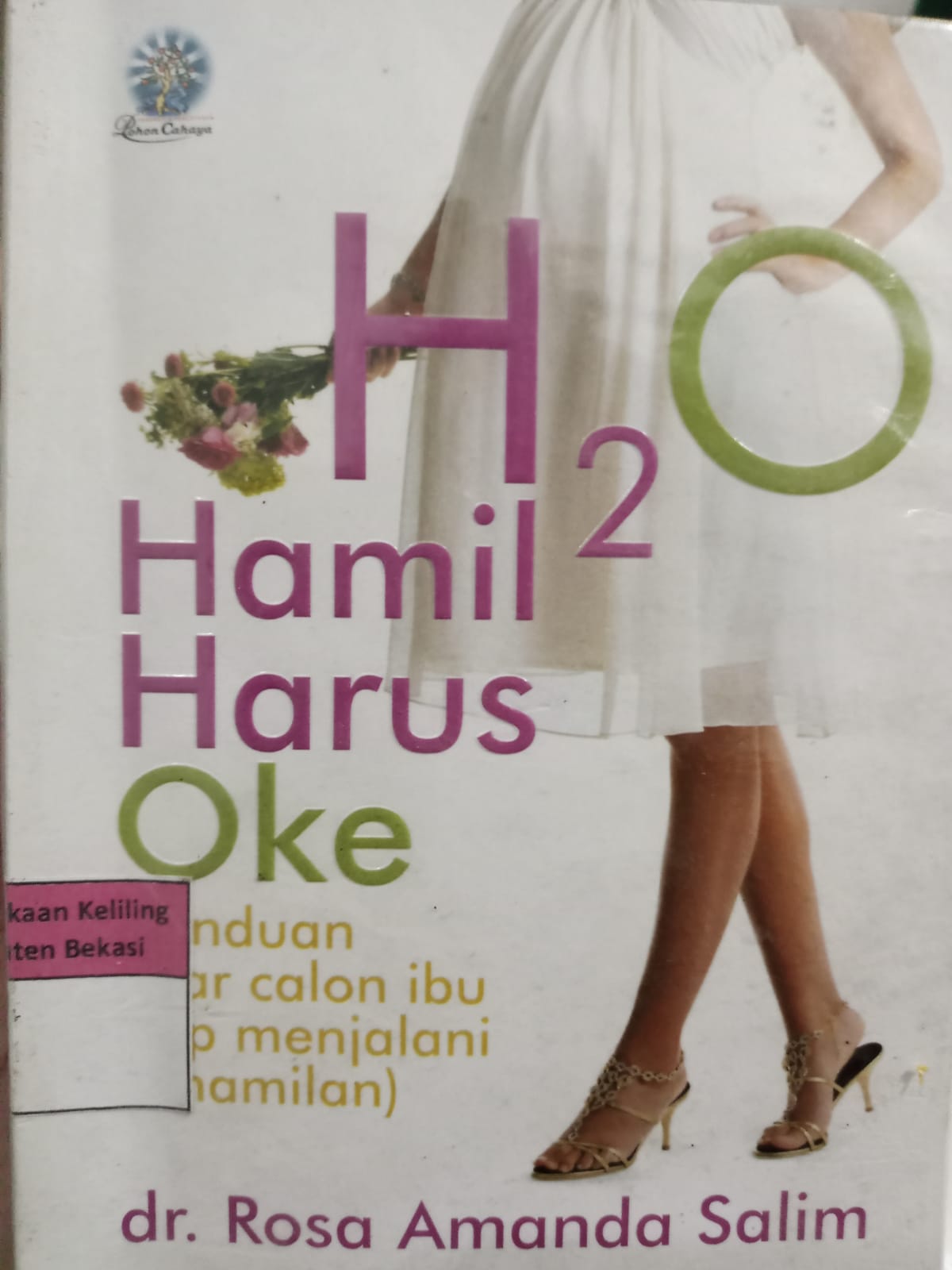 Sampul Hamil harus Oke :  Panduan agar calon ibu siap menjalani kehamilan / Rosa Amanda Salim