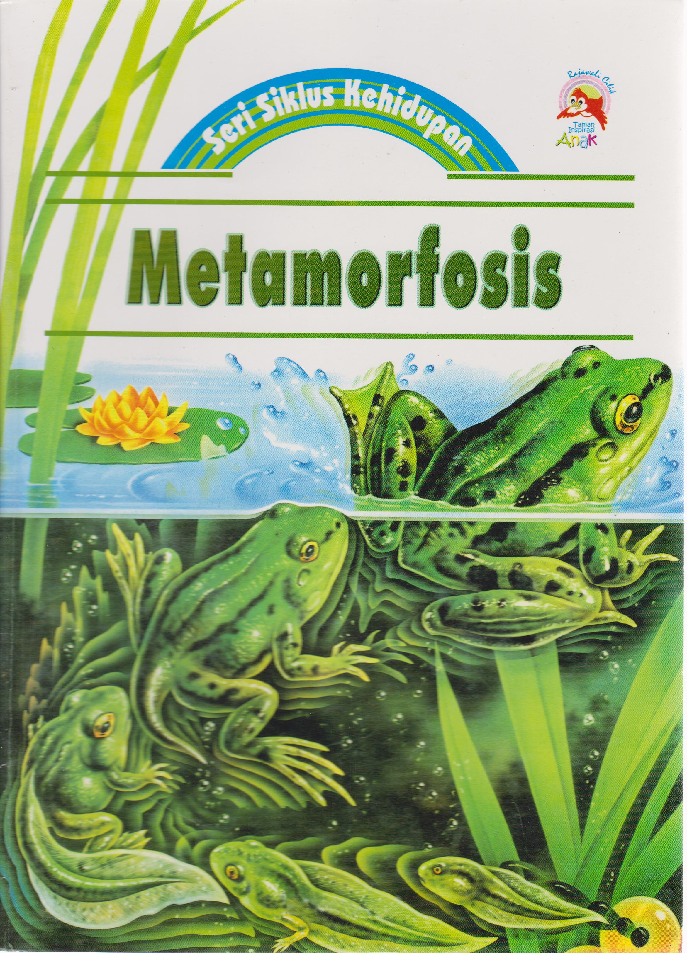 Sampul Seri Siklus Kehidupan Metamorfosis / Ahmad Dzulfikkar