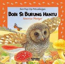 Sampul Bobi si Burung Hantu :  Seri Pop Up Petualangan / Maurice Pledger