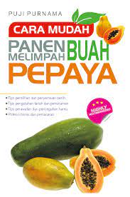Sampul Cara mudah panen melimpah buah pepaya / puji purnama