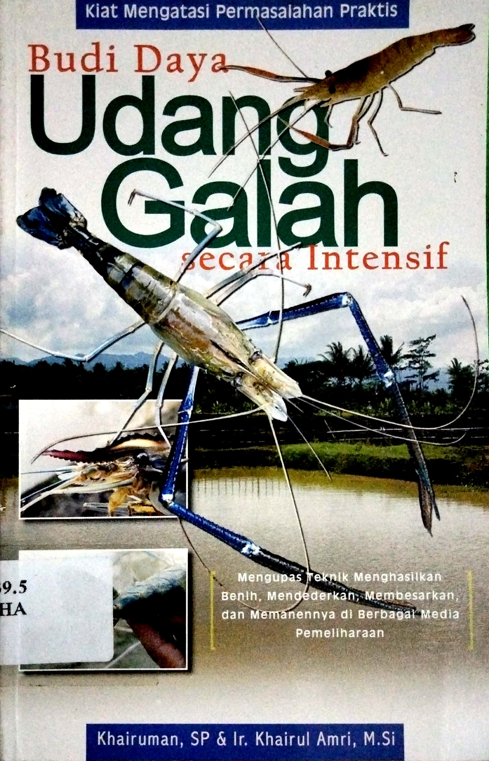 Sampul Budi Daya Udang Galah Secara Intensif / Khairuman