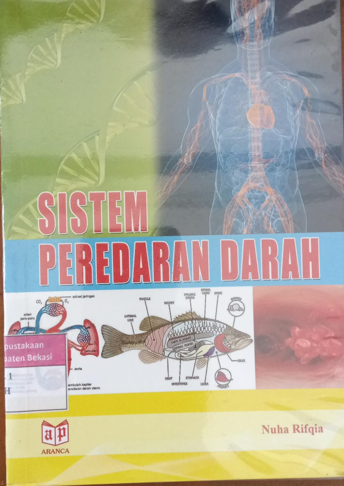Sampul Sistem Peredaran darah / Nuha Rifqia