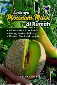Sampul Asyiknya Menanam melon di rumah / Abdul Karim