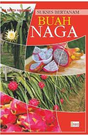 Sampul Sukses Bertanam Buah Naga / Ira Septa Ningrum