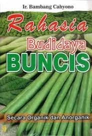 Sampul Rahasia Budidaya Buncis / Bambang Cahyono