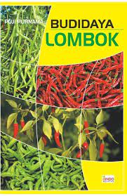 Sampul Budidaya Lombok / Puji Purnama