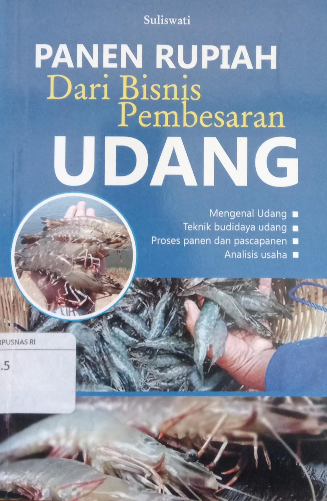 Sampul Panen Rupiah Dari Bisnis Pembesaran Udang / Suliswati