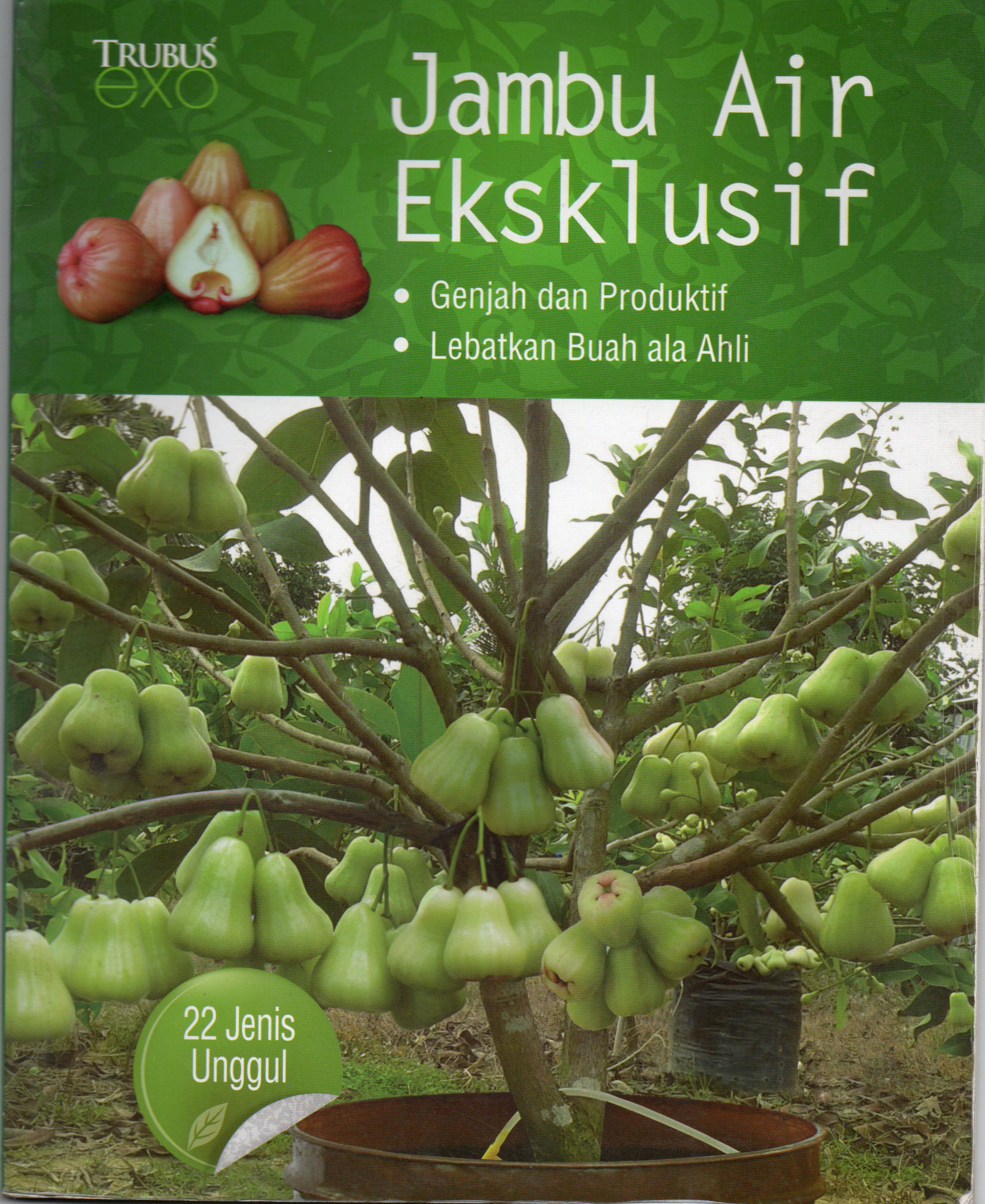 Sampul Jambu Air Ekslusif, Trubus Exo / Eny Pujiastuti
