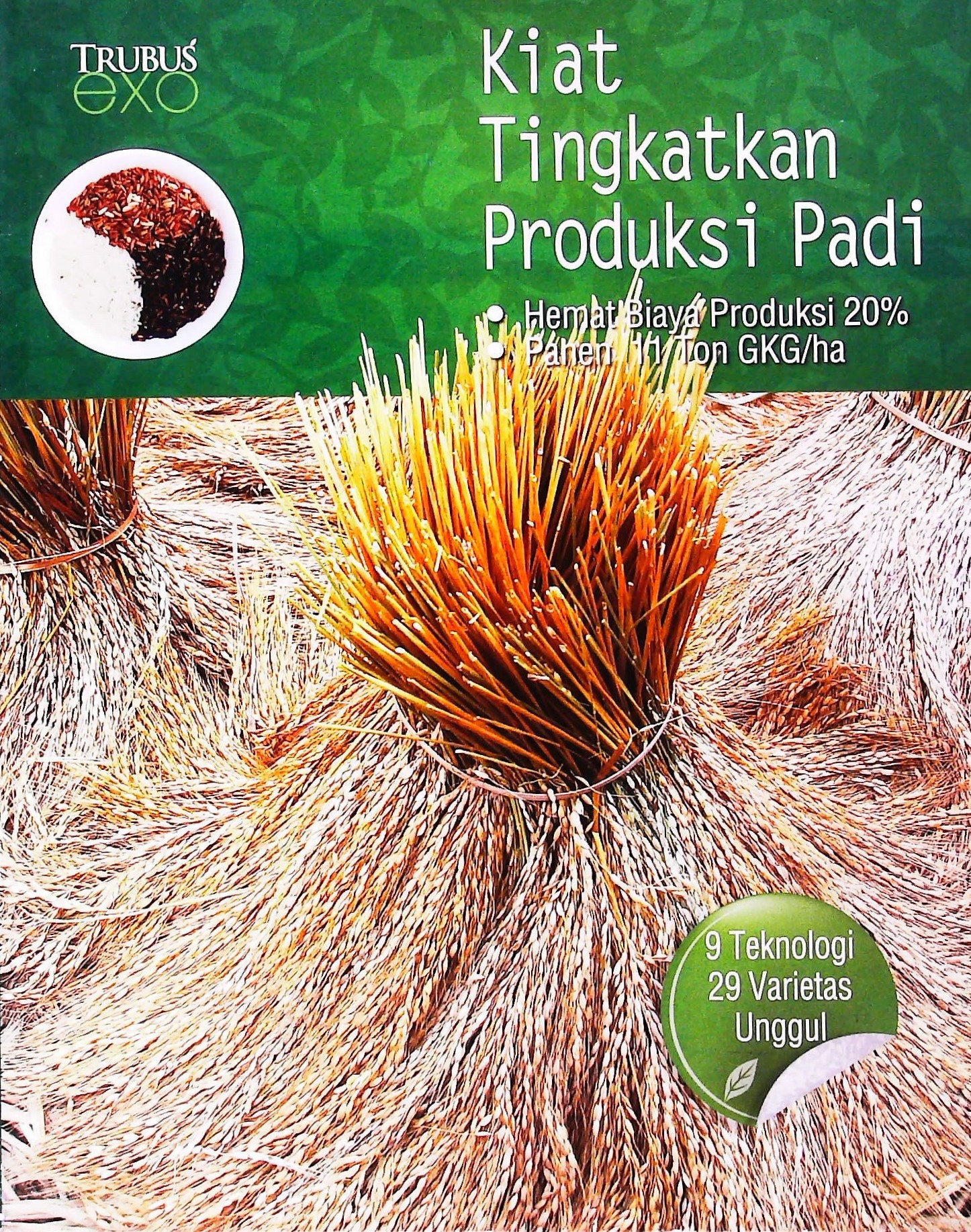 Sampul Kiat tingkatkan produksi padi / Redaksi Trubus