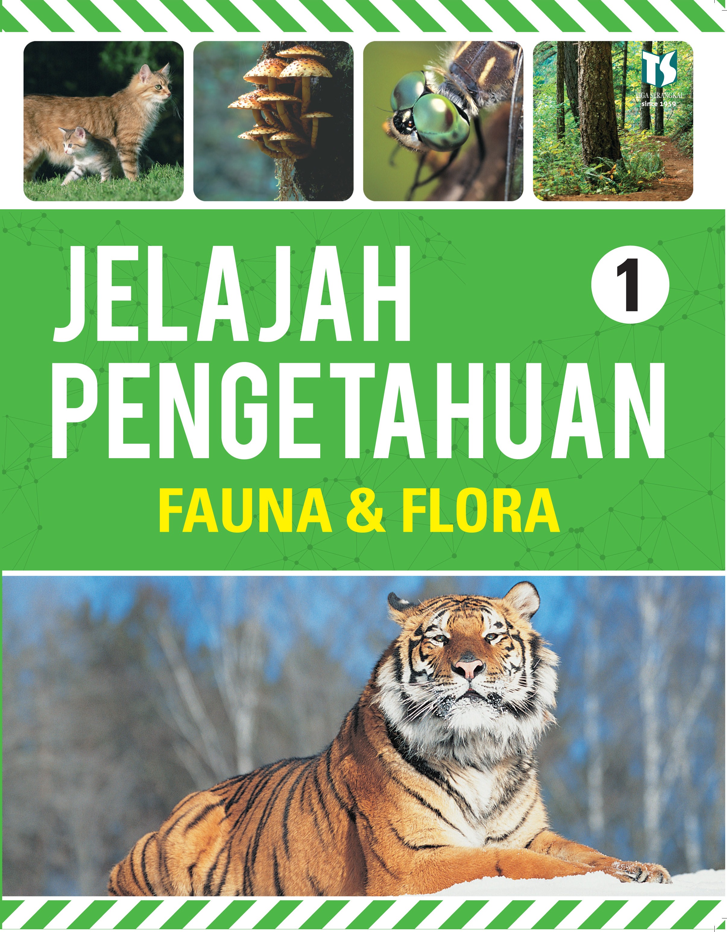 Sampul Jelajah Pengetahuan :  Fauna & Flora / Isabelle Van Walleghem, Veronique Meyers, Genevieve de Becker ; alih bahasa, Rosana Hariyanti, Ika Nurhayani, Roosi Rusmawati