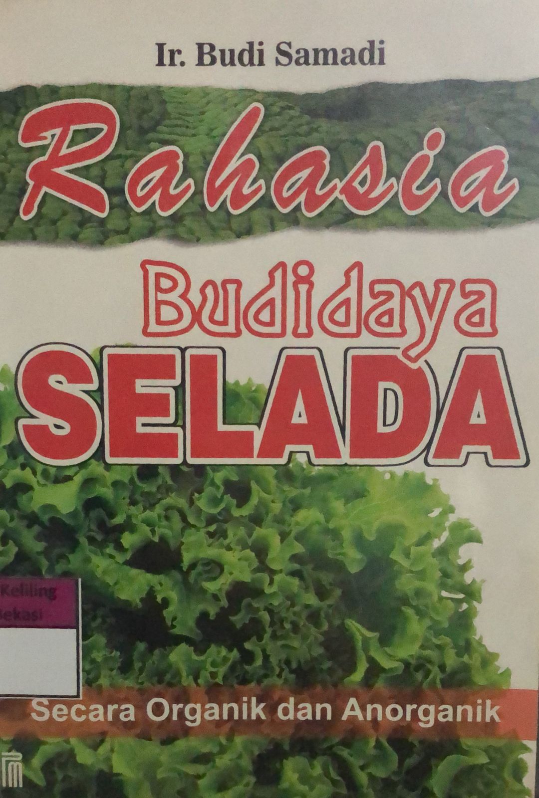 Sampul Rahasia Budidaya Selada :  Taknik Budidaya Pertanian Organik dan Anorganik / Budi Samadi
