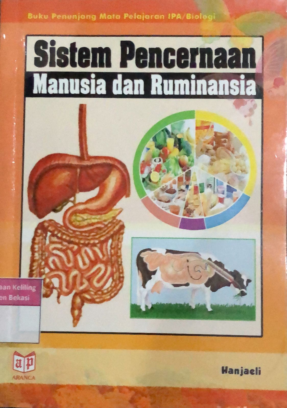 Sampul Sistem Pencernaan Manusia dan Ruminansia / Hanjaeli