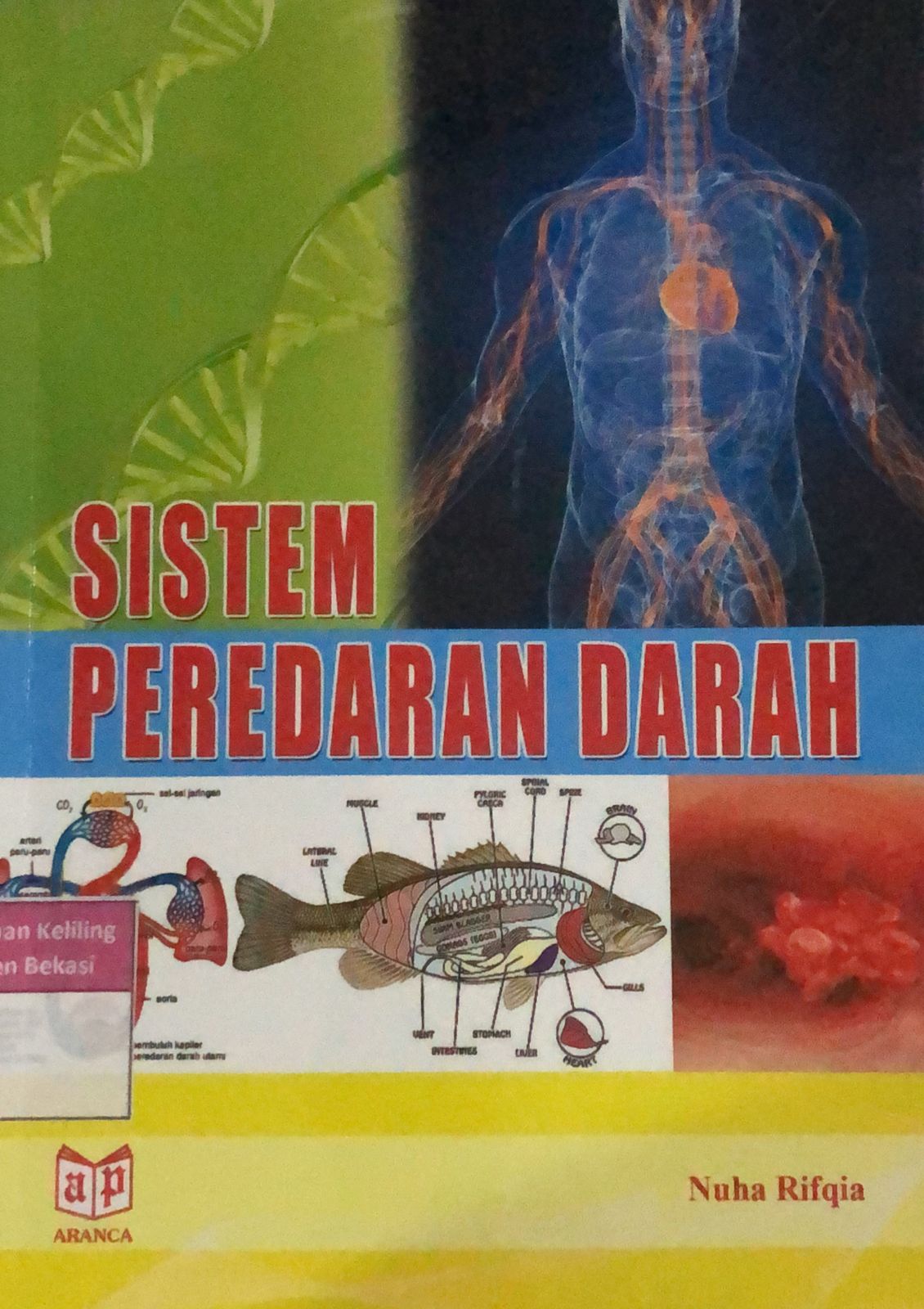 Sampul Sistem Peredaran Darah / Nuha Rifqia