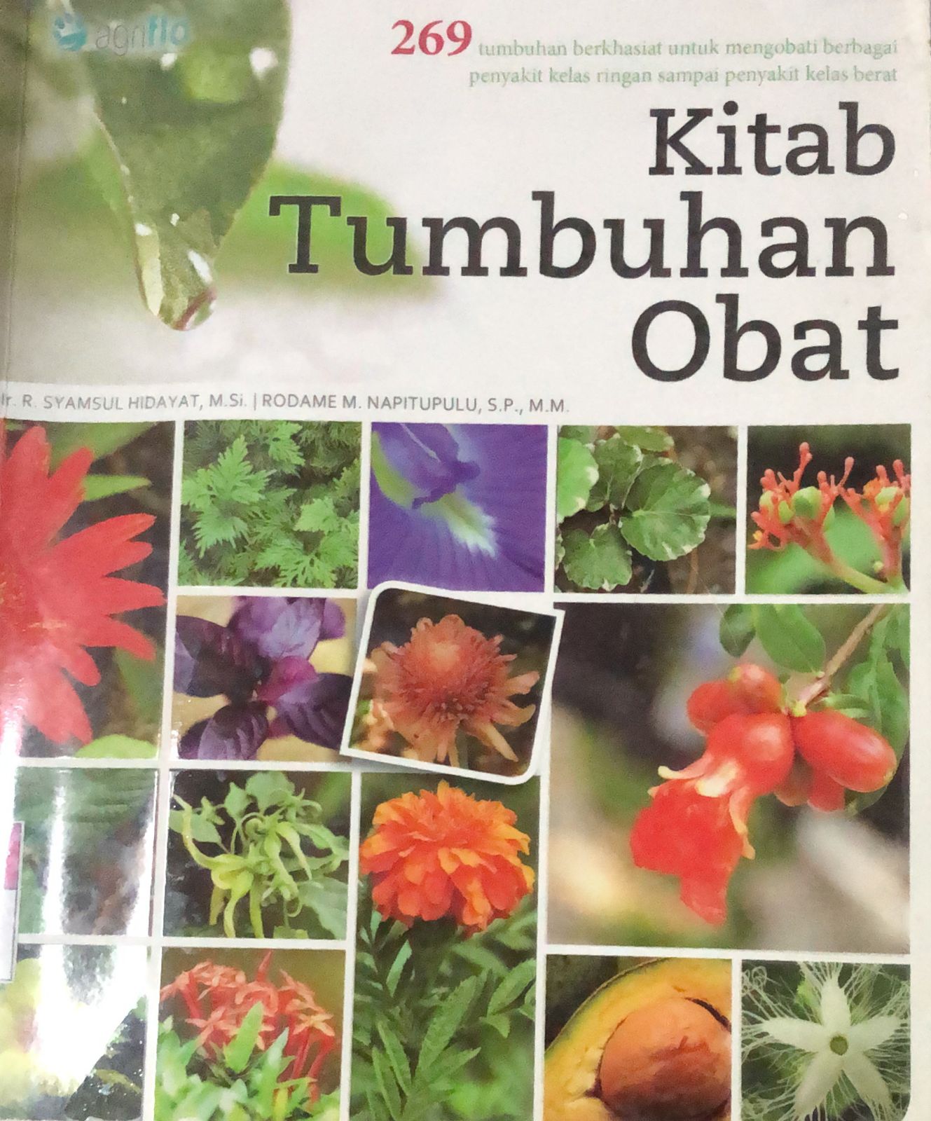 Sampul Kitab Tumbuhan Obat / R. Syamsul HIdayat