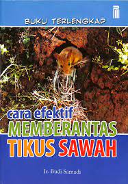 Sampul Cara Efektif Memberantas Tikus Sawah / Budi Samadi
