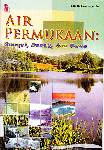 Sampul Air permukaan :  sungai, danau, dan rawa / Sari B. Kusumayudha