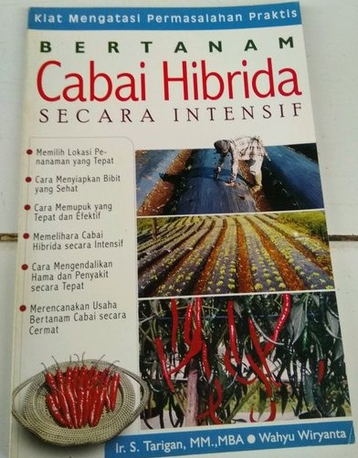 Sampul Bertanam cabai hibrida secara intensif / Taringan