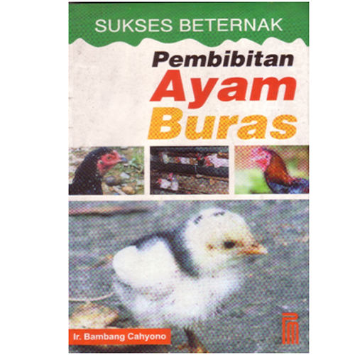 Sampul Sukses beternak pembibitan ayam buras / Bambang Cahyono