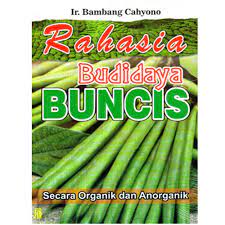 Sampul Rahasia budidaya buncis / Bambang cahyono