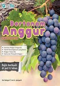 Sampul Bertanam anggur di pekarangan / Emi budiyati